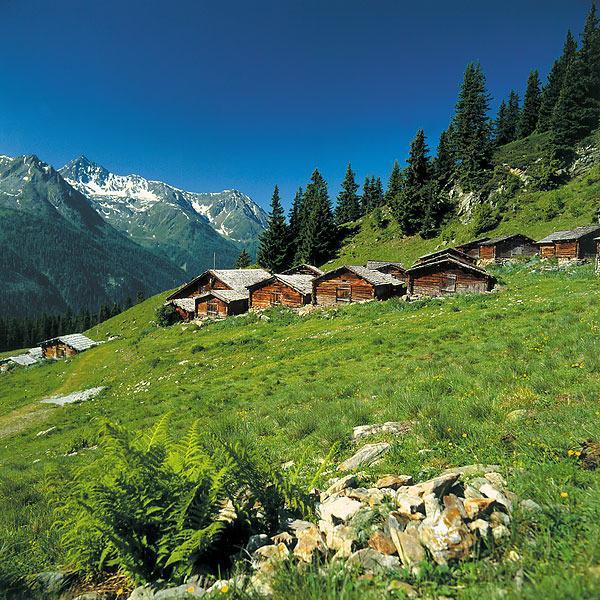 Alp Chalet Appartement Kappl  Exterior photo